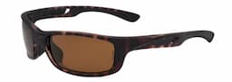 Tortoise frame/Polarized Contrast Amber Reflection Bronze & Rose Amber