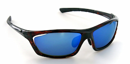 Tortoise frame/Polarized Blue lenses