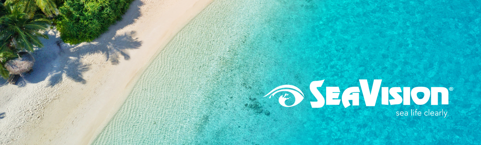 Seavision dive mask with prescription lenses for clear underwater vision