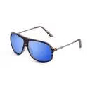 Light Demy Brown frame/Polarized Revo Blue lenses
