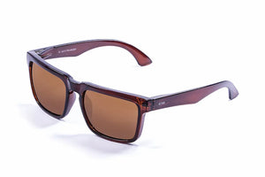 Dark Brown Transparent frame/Polarized Brown lenses