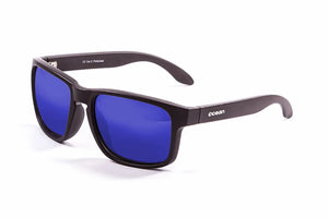 Matte Brown frame/Polarized Revo Blue lenses