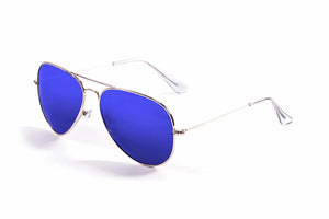 Gold frame/Polarized Revo Blue lenses