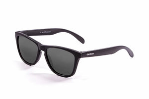 Matte Black frame/Polarized Smoke lenses