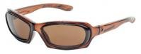 Leader Elite Sunglasses in Dark Brown