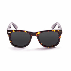 Demy Brown frame/Polarized Smoke lenses