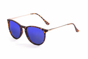 Demy Brown frame/Polarized Blue Revo lenses