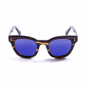 Brown frame/Polarized Revo Blue lenses
