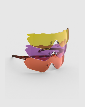 Tortoise Frame & Kit ( HD Medium-Dark Purple-Medium Yellow Lenses )