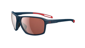 Dark Blue Matt frame/LST Polarized Silver M lenses