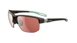 Dark Brown Metallic frame/LST Active Silver M lenses