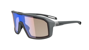 Dark Grey Matt frame/LST e-Vario light changing 1-3 lenses