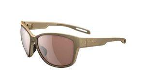 Bronze Metallic frame/LST Contrast Silver M lenses