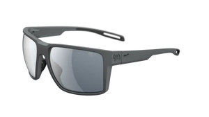 Dark Grey Matt frame/LST Gray Silver lenses