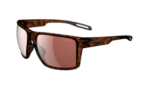 Brown Havana frame/LST Polarized Silver M lenses