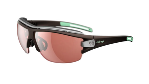 Dark Brown Metallic frame/LST Active Silver M lenses