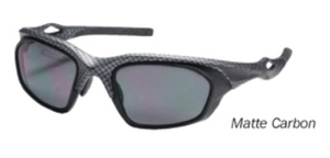 Carbon frame/Gray Lenses Sports Package