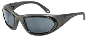 Matte Gunmetal frame Gray Lenses Sport Package (with case)
