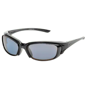Tortoise frame/Gray lenses Basic Package (no case)