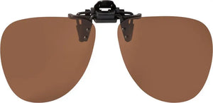 Polarized Brown