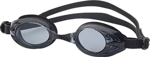 Black frame Smoke lenses