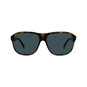 Shiny Havana/Grey polar lenses