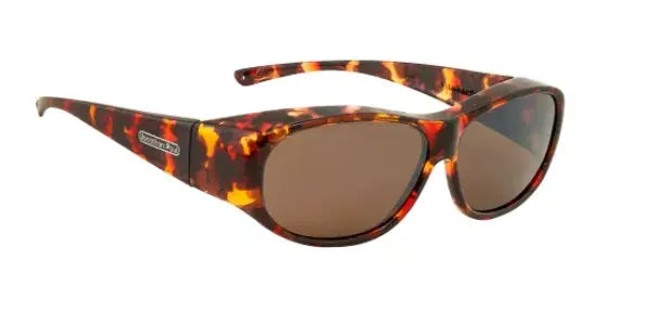 Jonathan Paul Sunni Large Tortoise