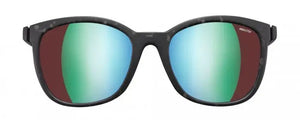 Gray-Dark Blue frame/Spectron 3 Polarized HD lenses