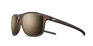 Tortoise Brown Spectron 3 Polarized