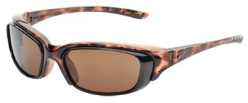 Leader Element Sunglasses in Tortoise