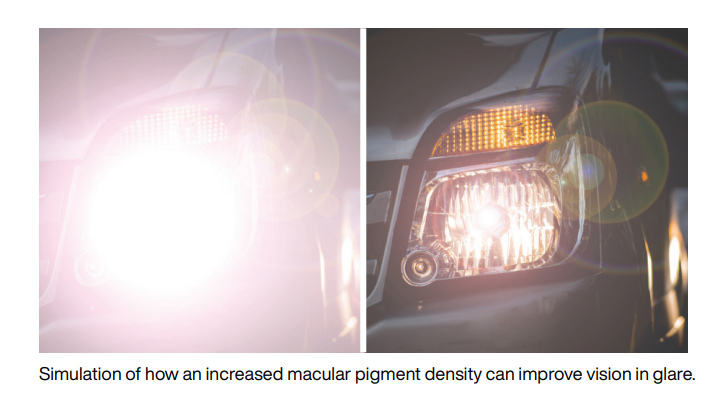 MacuHealth simulation of glare improvement