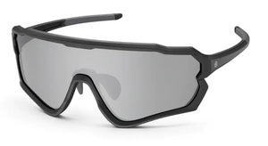 Black frame/Mirrored lenses