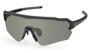 Black frame/Revo K-Gold/Photochromic Polarized Silver & Rose lenses