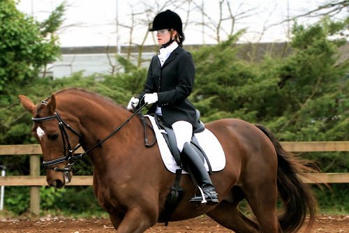 Equestrian wearing Raleri Trooper goggles