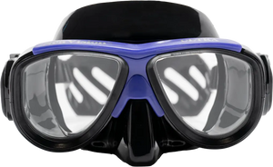 Black Skirt/Purple Accent