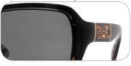 Switch Arya Black Leopard Sunglasses