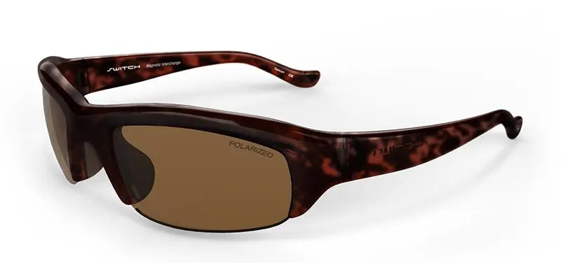 Switch Magnetic Stoke Sunglasses
