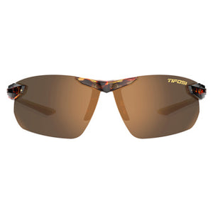 Tortoise frame/Brown lenses