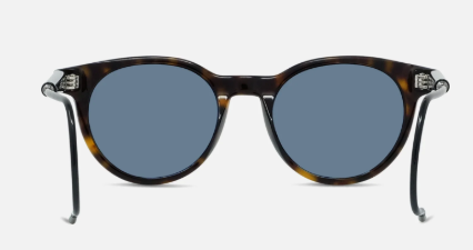 Vuarnet Alpine 01 inside view