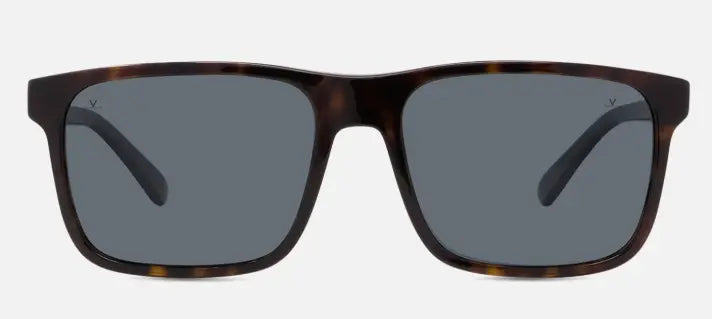 Vuarnet Belvedere 01 sunglasses in tortoise with grey polarized